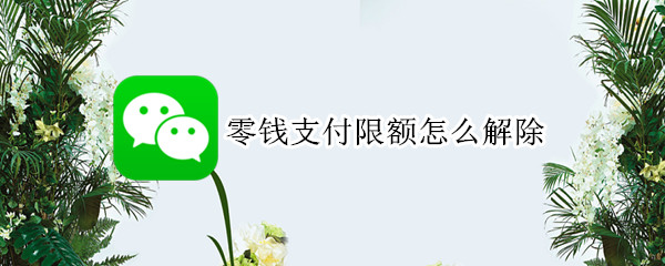 零钱支付限额怎么解除