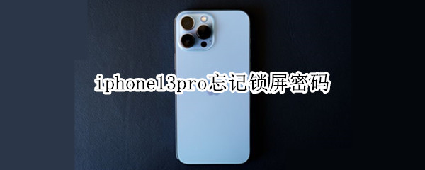 iphone13pro忘记锁屏密码
