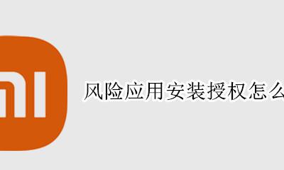 风险应用安装授权在哪里 风险应用安装授权怎么授权