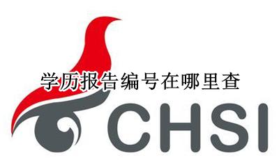 学历报告编号在哪里查 学历查询的报告编号在哪里
