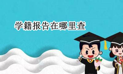 学籍报告在哪里查 学籍报告编号怎么查