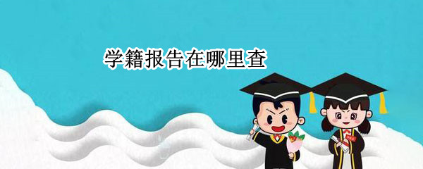 学籍报告在哪里查