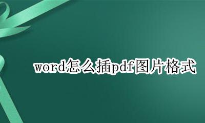 word怎么插pdf图片格式 怎么把pdf图片插到word里面