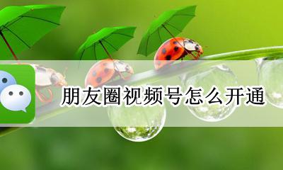 朋友圈用视频号 朋友圈视频号怎么开通