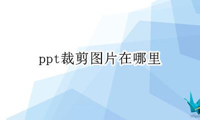 ppt裁剪图片在哪里 ppt里面裁剪图片在哪里
