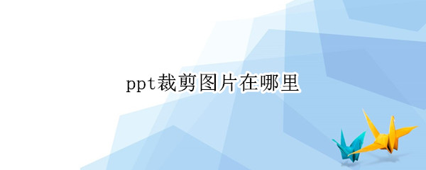 ppt裁剪图片在哪里