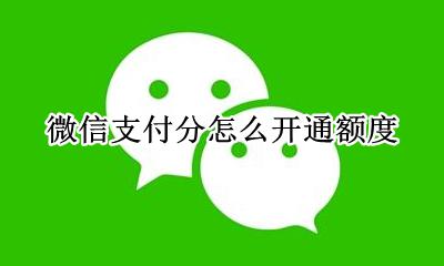 微信支付分开通额度 微信支付分怎么开通额度