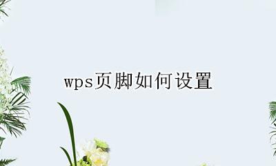 wps页脚如何设置 wps的页脚在哪里设置