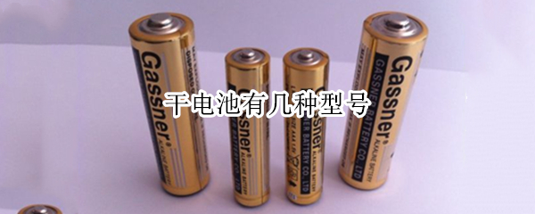 干电池有几种型号