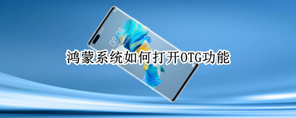 鸿蒙系统如何打开OTG功能