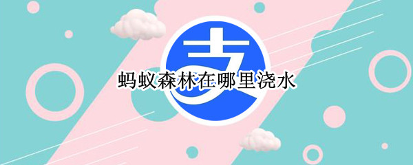 蚂蚁森林在哪里浇水