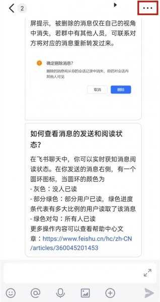 飞书可以查看别人的聊天记录么