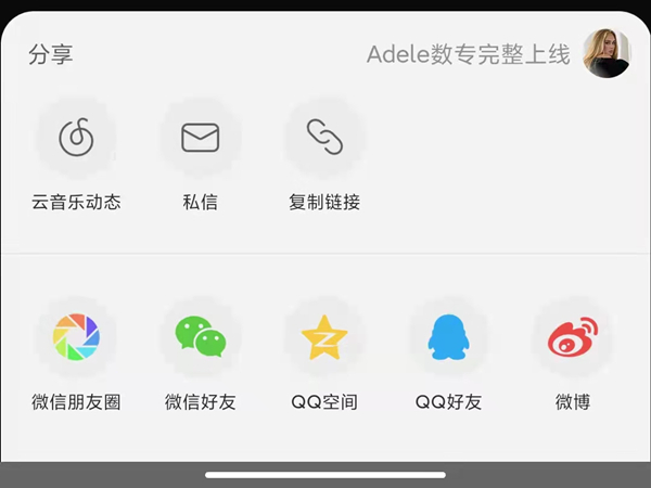 网易云的音乐罐子别人能看到吗