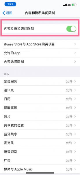 苹果手机访问受限制怎么解开