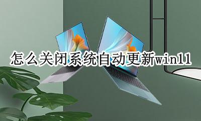 怎么关闭系统自动更新通知 怎么关闭系统自动更新win11