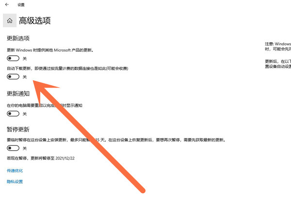 怎么关闭系统自动更新win11