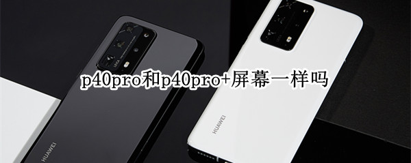 p40pro和p40pro+屏幕一样吗