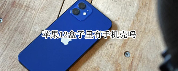 苹果12盒子里有手机壳吗