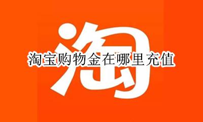 淘宝购物金在哪里充值 淘宝充值中心的充值金怎么用