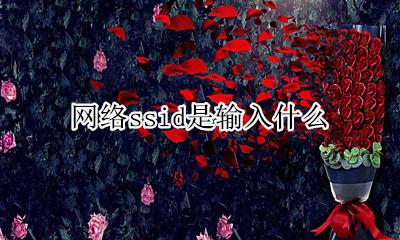 什么叫网络SSID 网络ssid是输入什么