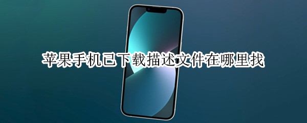 苹果手机已下载描述文件在哪里找
