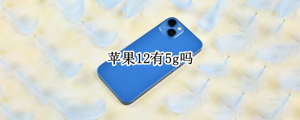 苹果12有5g吗