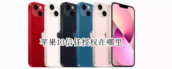 苹果13信任授权在哪里