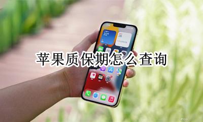 苹果质保期怎么查询 怎么查询苹果手机保质期