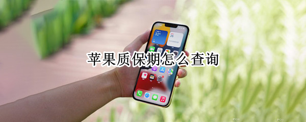苹果质保期怎么查询