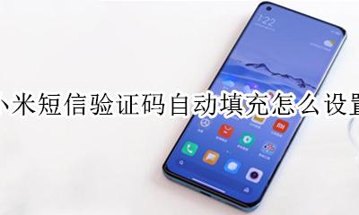 手机短信验证码自动填充 小米短信验证码自动填充怎么设置