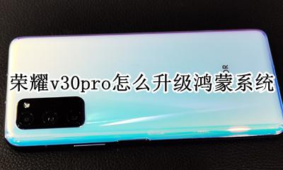 荣耀v30pro怎么升级鸿蒙系统 华为v30pro可以升级鸿蒙系统吗