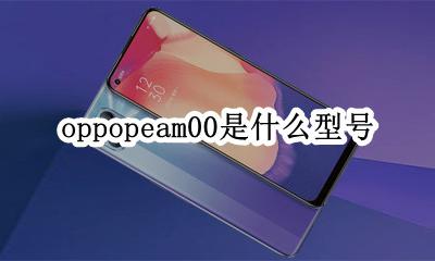 oppopeam00是什么型号 oppopegt00是什么型号