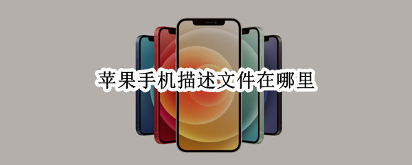 苹果手机描述文件在哪里