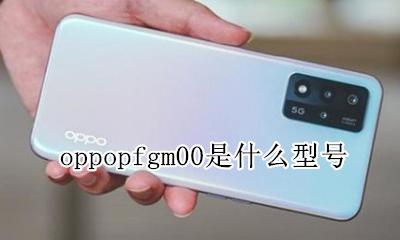 oppopfgm00是什么型号 oppo pafm00是什么型号