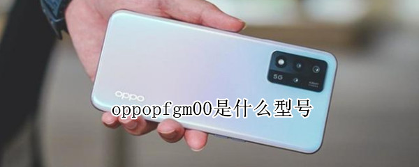 oppopfgm00是什么型号