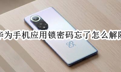 华为手机应用锁密码忘了怎么解除 华为手机的应用锁密码忘了怎么办