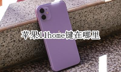 苹果11home键在哪里 苹果11home键是哪个