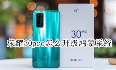 荣耀30pro怎么升级鸿蒙系统 荣耀30pro如何升级鸿蒙系统