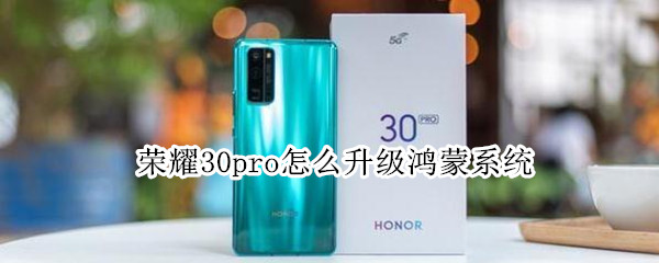 荣耀30pro怎么升级鸿蒙系统
