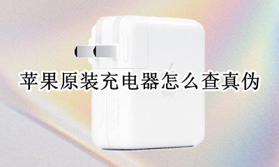 苹果原装充电器怎么查真伪 苹果原装充电器能查真假吗