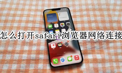 safari如何连接网络 怎么打开safari浏览器网络连接