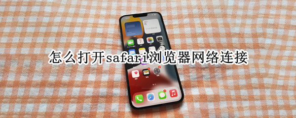 怎么打开safari浏览器网络连接