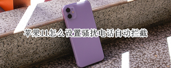 苹果11怎么设置骚扰电话自动拦截