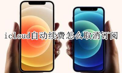 icloud自动续费怎么取消订阅 icloud官网怎么取消自动续费