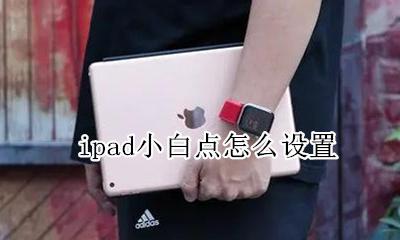 ipad小白点怎么设置 苹果ipad上小白点的怎么设置显示