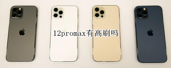 12promax有高刷吗