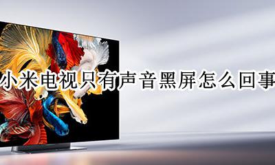 小米电视只有声音黑屏怎么回事 小米电视打开后有声音但是黑屏怎么回事