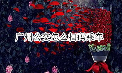 广州公交怎么扫码乘车 扫码乘车怎么使用