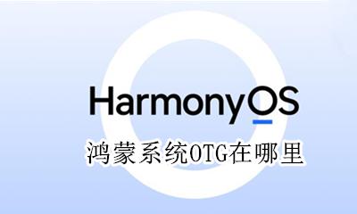 鸿蒙系统怎么看 鸿蒙系统OTG在哪里