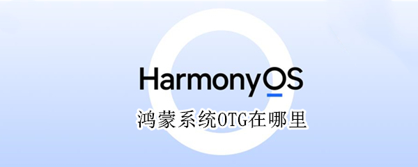 鸿蒙系统OTG在哪里